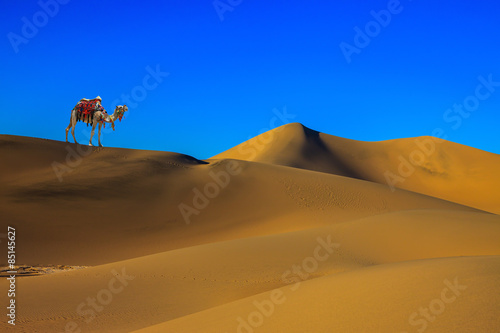 Plakat wydma transport natura bezdroża pustynia