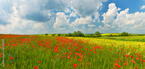 Naklejka wiejski panoramiczny panorama pejzaż niebo