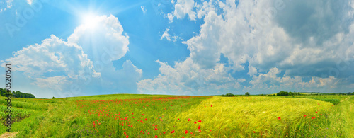 Fotoroleta widok panoramiczny wieś pole