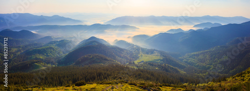 Fotoroleta ukraina trawa panorama