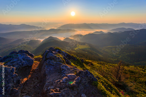 Fotoroleta niebo las drzewa natura