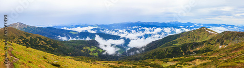 Fototapeta iglasty niebo spokojny łąka panorama