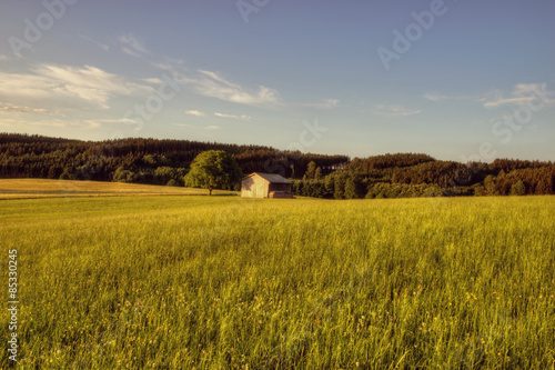 Naklejka łąka pole trawa wieś ścieżka