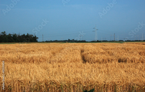 Fotoroleta pejzaż wiejski rolnictwo