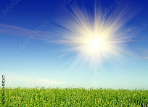 Naklejka pole niebo spokojny trawa słońce