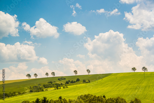 Obraz na płótnie niebo tatry las trawa