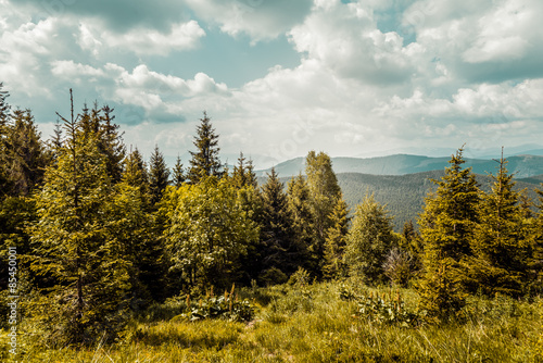 Naklejka wzgórze góra trawa natura