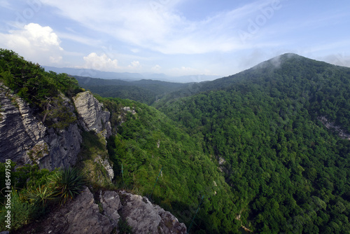 Fotoroleta góra pejzaż panorama las