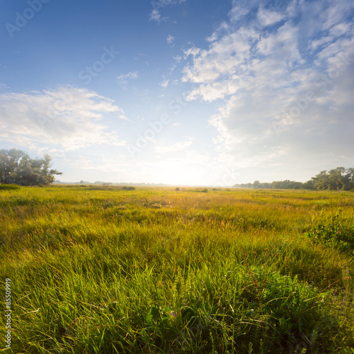 Plakat natura panoramiczny niebo łąka