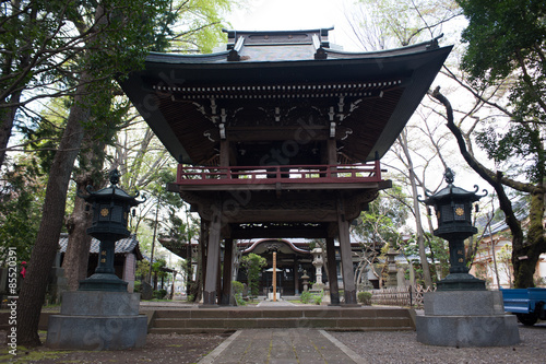 Naklejka święty japonia drzewa japoński azja