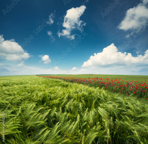 Obraz na płótnie lato słońce niebo natura