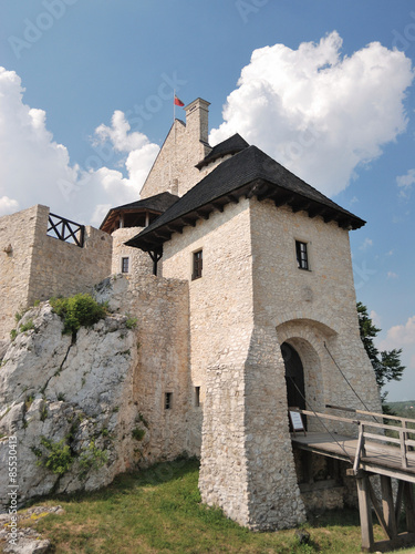 Plakat architektura wieża zamek gotyk