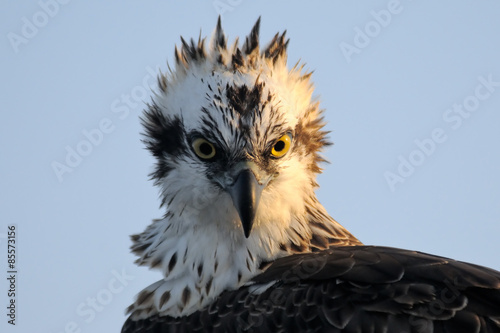 Plakat brzeg słońce egipt natura