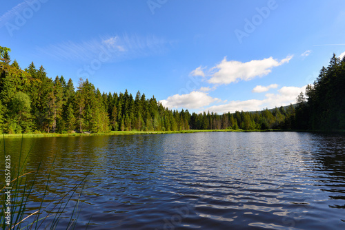 Naklejka woda most niebo drzewa