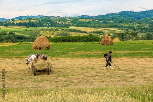 Naklejka Farmer working on his land with cart and horses on background