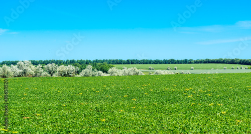 Naklejka wzgórze natura pejzaż