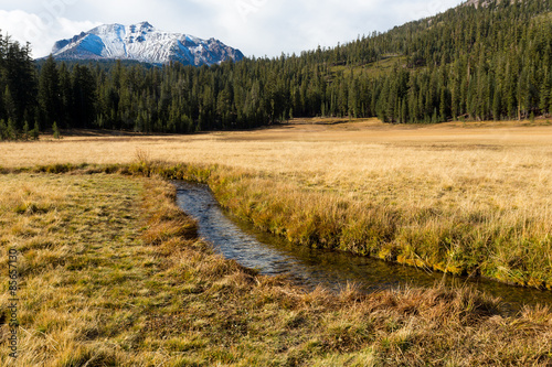 Fotoroleta Upper Meadow im Lassen Volcanic National Park