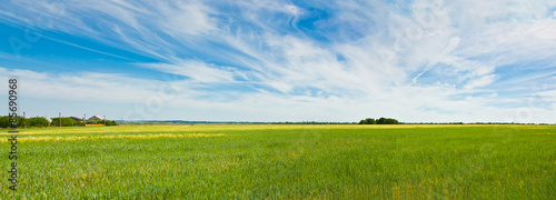 Plakat pejzaż trawa natura