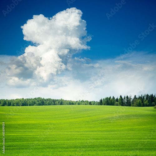 Obraz na płótnie natura piękny trawa wiejski pastwisko