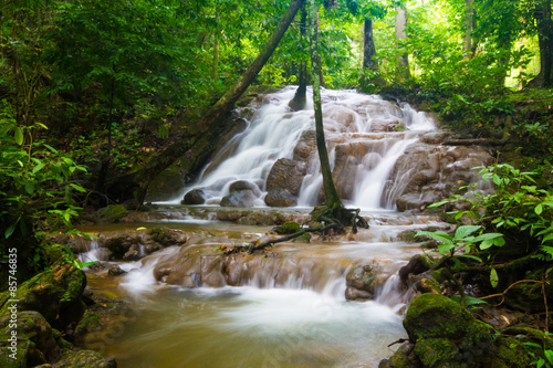 Naklejka świeży natura drzewa kaskada woda