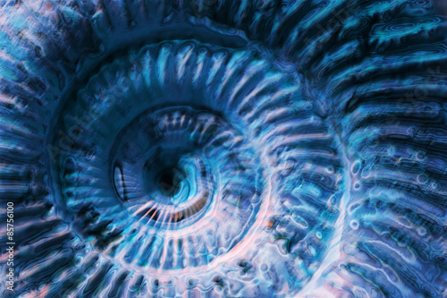 Obraz na płótnie morze sztuka spirala natura wzór