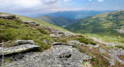 Fotoroleta łąka błękitne niebo panoramiczny trawa