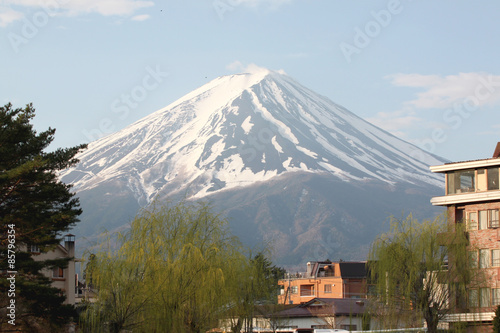 Fotoroleta widok drzewa japonia pejzaż japoński