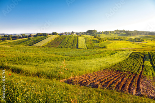 Obraz na płótnie niebo natura pejzaż rolnictwo