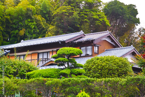 Naklejka wieś sosna japonia