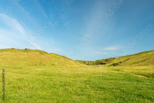 Plakat natura wiejski świeży pejzaż