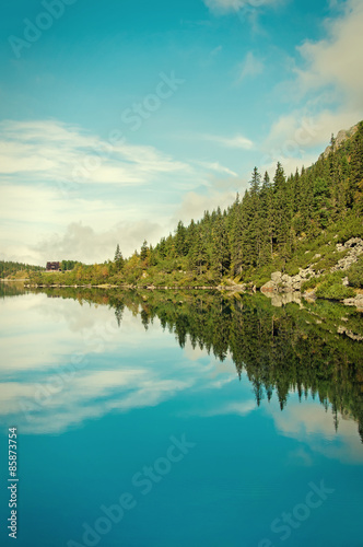 Fototapeta park natura iglasty szczyt