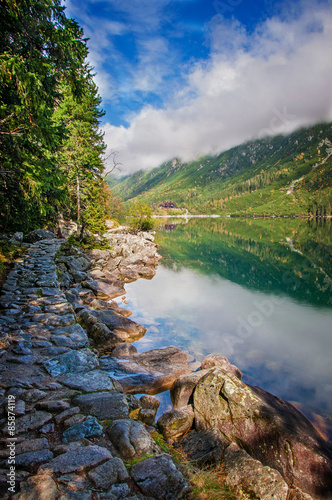 Fotoroleta północ las natura lato piękny