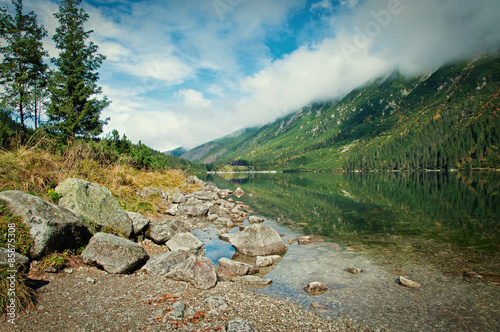 Fotoroleta iglasty las góra