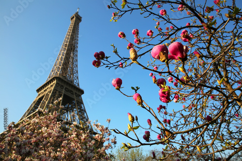 Fotoroleta Eiffel Tower in spring time, Paris, France