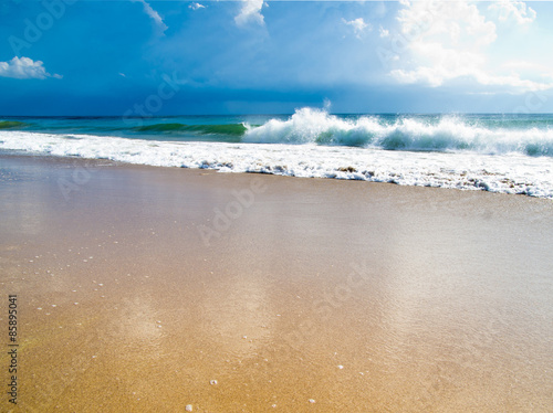 Naklejka tropikalny natura plaża