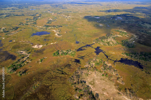 Plakat krajobraz afryka krzew natura