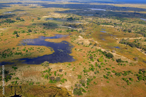 Plakat wyspa krzew natura panorama