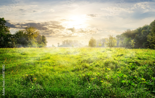 Fotoroleta natura pastwisko pejzaż łąka trawa