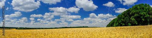 Plakat żniwa rolnictwo niebo