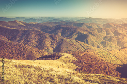 Obraz na płótnie szczyt panorama drzewa natura góra