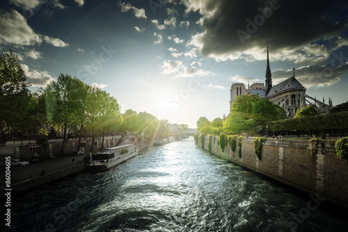 Fotoroleta bazylika notre-dame wieża