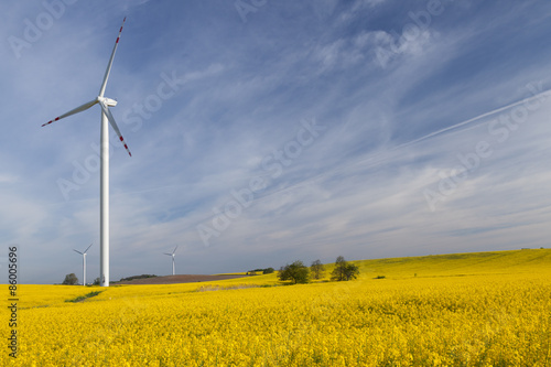 Fotoroleta pole natura pejzaż