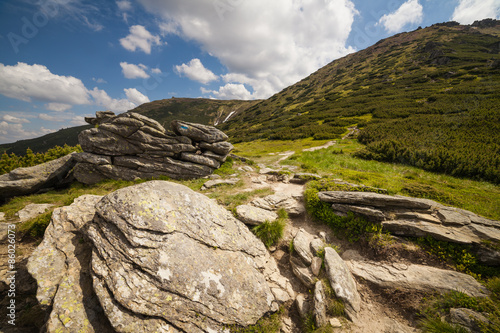 Naklejka narodowy natura widok