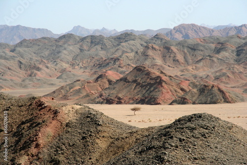 Plakat desert