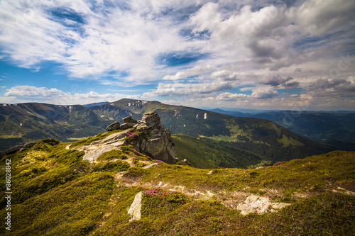 Naklejka natura panorama las klif