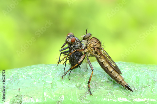 Fotoroleta natura bezdroża lato