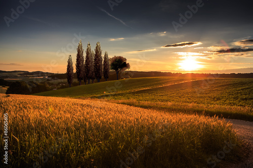 Fotoroleta pejzaż pole wiejski natura lato