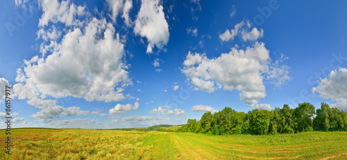 Obraz na płótnie lato pejzaż pole