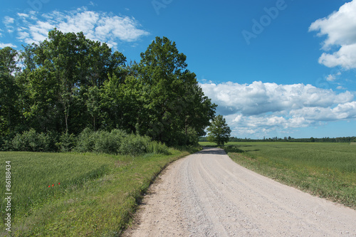 Fotoroleta natura trawa roślina jedzenie