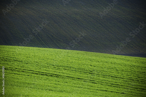 Plakat roślina trawa świeży widok wiejski